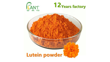 Marigold Flower Extract 5% Lutein And Zeaxanthin powder