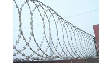 high quality stainless steel galvanized razor wire fencing for sale1