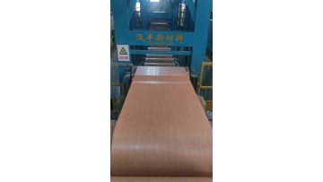 PP film laminated steel coil