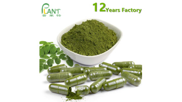 moringa leaf powder bulk capsules