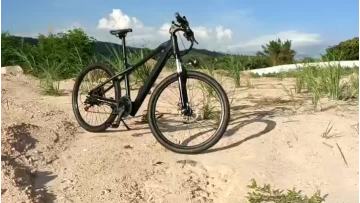 BK7-electric bike-005