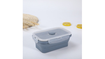 540ml BPA free Microwavable Silicone Food Storage Containers Collapsible Lunch Box Reusable bento Lunch Box sets1
