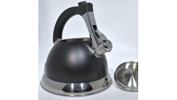 FH-609teapot with black handle and black top stand