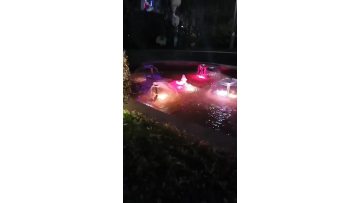 Waterscape Lights Price