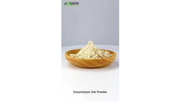 Enzymatic Hydrolyzed Oat Powder