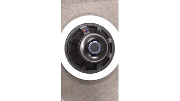 18 Inch Woofer LF18X40  subwooger 1000w