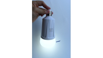double battery emergency bulb
