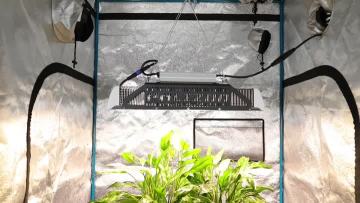 240w led grow light (1).mp4