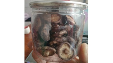 3001 Quality Canned Shiitake Mushrooms