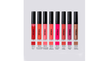Factory Wholesale private label Waterproof Nude Glossy liquid Lipstick no Logo Vegan Lipgloss Custom Lip Gloss Pigment1