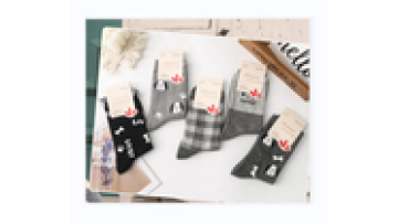 Wholesale Autumn And Winter Vintage Embroidered Cotton Socks Women Combed Cotton cute Cotton Women's socks1