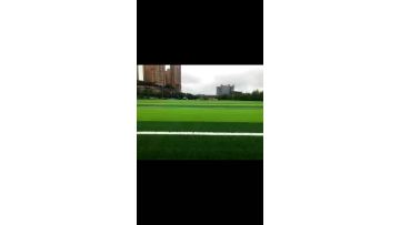  Artifical grass for Sports Center