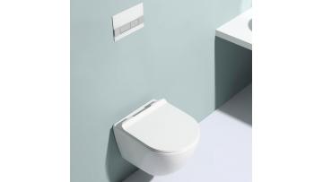 Modern Ceramic Toilet