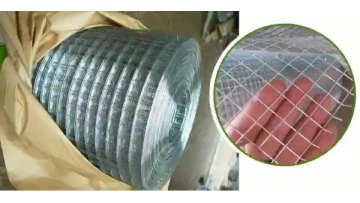 Galvanized welded wire mesh supplier high quality1