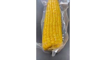 Single Packed Sweet Corn Cob
