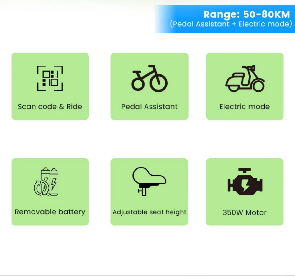 Gofunow Electric Bikes for Rental(2)