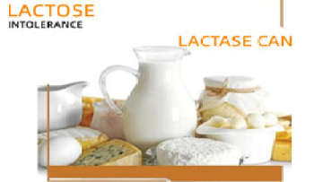 Lactase enzyme resolves lactose intolerance