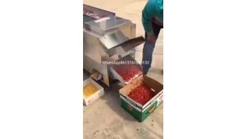 chili cutting with separating machine