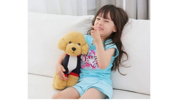 Premium soft teddy bear plush toy