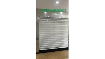 polycarbonate transparent rolling shutter doors