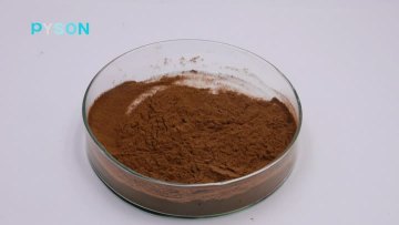 Maitake Mushroom Extract  50%