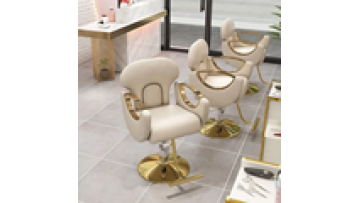 Moder Lifting Hairdressing Beauty Salon Furniture Styling Barber Chair1