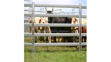 Heavy duty galvanized livestock metal fencing cattle yard panels1