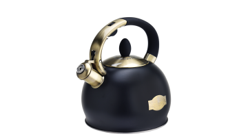 FH-379 Black Stainless steel teapot