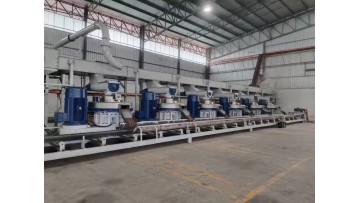 Malaysia 18-24t pellet production line