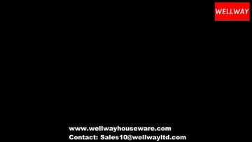 Wellway company  video