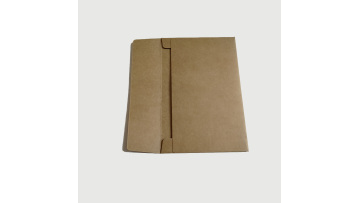 kraft paper envelope brown