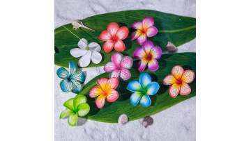 Plumeria Flower