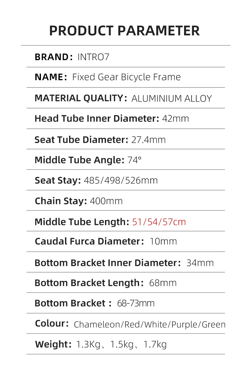 Fixed Gear Bike Frame