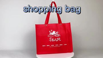 Non Woven Shopping Bag