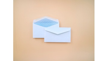 White Security Gummed Envelope