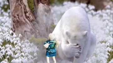 Familie doll and the polar bear are playing hide and seek 