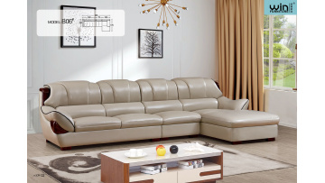 Living Room  Sofa
