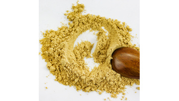 Dehydrated Ginger Powder01