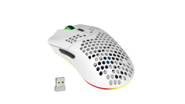 Wireless Gaming Mouse-T66