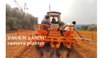 planteuse de manioc au Nigeria