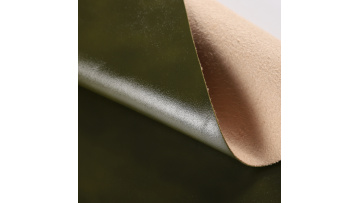 Stain resistant leather