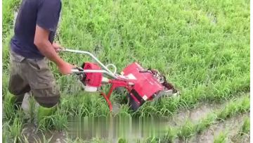 rice weeding wheel working video.mp4