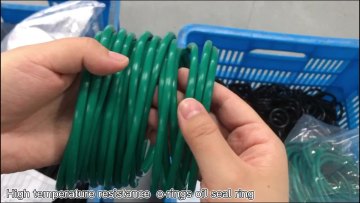 PFA/ PTFE coated/encapsulated rubber silicone sealing o ring1