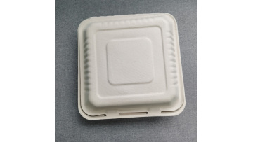 Disposable Compostable Bagasse 9 inch Clamshell