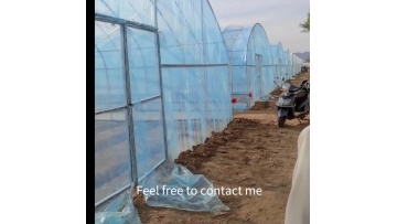 Single-span Greenhouses Factory Price Hydroponic Lettuce Leaf Vegetable greenhouse green house1