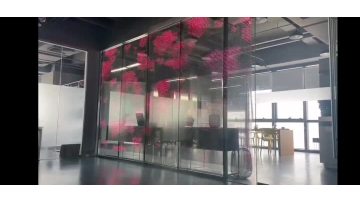 Transparent LED Display Glass