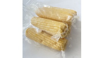 6501 high quality white sweet corns