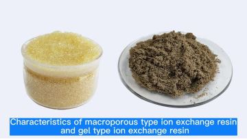 Characteristics of macroporous resins