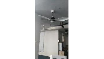 Modern ceiling  fan 3 blade