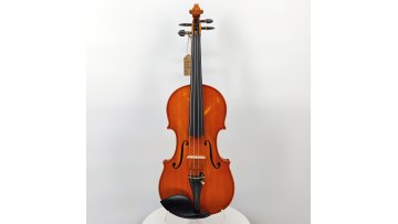 violin-HLA-5